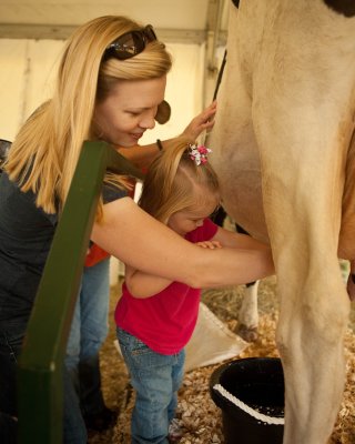 Cow Milking with Mommy
