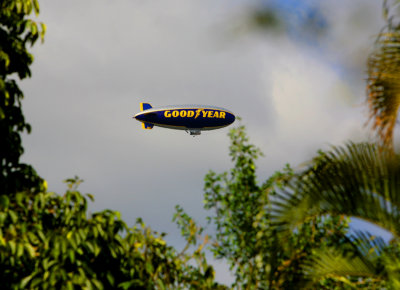 yes even the Blimp made it over the yard  going to aTrump Golf Tournment !?!
