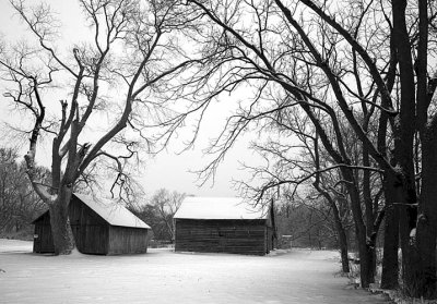 Black and White Winter Farms Illinois