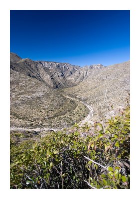 Guadalupe Ridge Trail