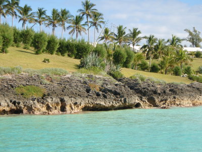 Gorgeous Bermuda Shoreline