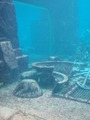 Lost City of Atlantis Archeological Dig