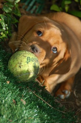 With a Ball