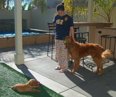 Big Dog Little Dog