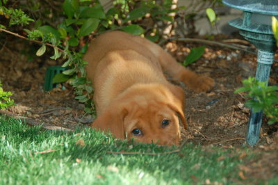 Diggin' A Hole