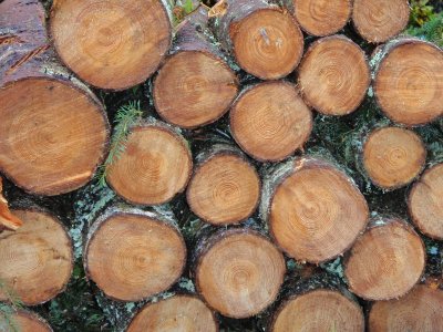 Woodstack