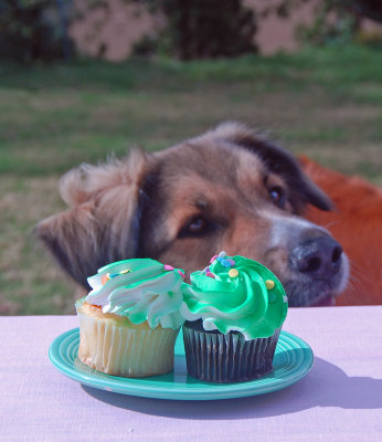 Hmm . . . wonder how many Weight Watchers points in those?