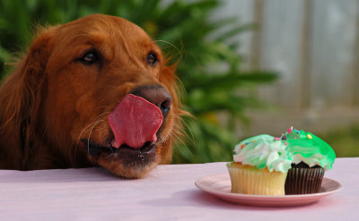 Scrumptious!