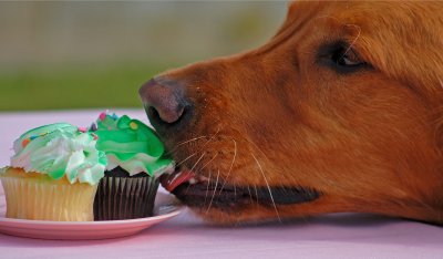 Yum!!