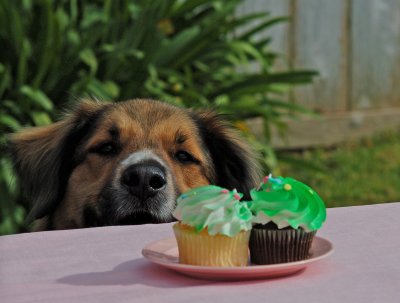 Temptation