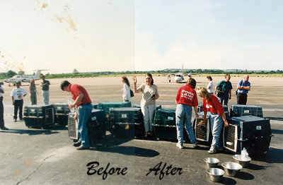 Image cleaned and colours restored