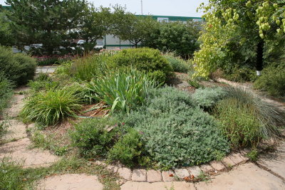 Perennial Garden (1027)