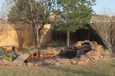 Enlarging the Back Yard Pond