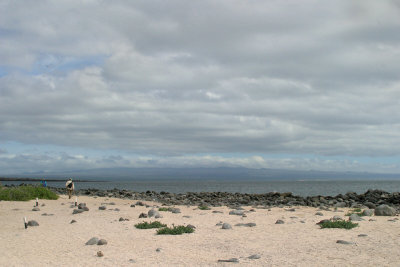 g1/22/489522/3/126536490.t2sXwg8C.jpg