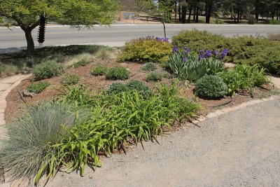 Perennial Garden -- AA48 (7389)