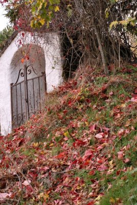  Red colour of November - 2008 - by Pietrolucci R.
