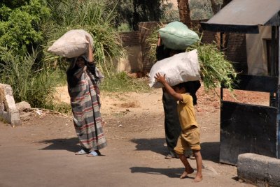 Same weight for all- Egypt - 2008 - by Pietrolucci R.