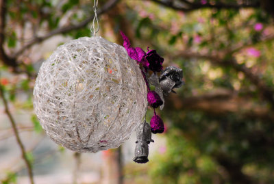 Christmas decoration -  2011- by Pietrolucci R.