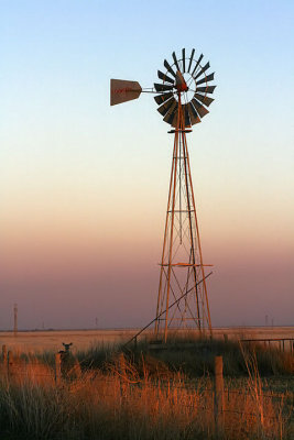 Windmill and doe.jpg