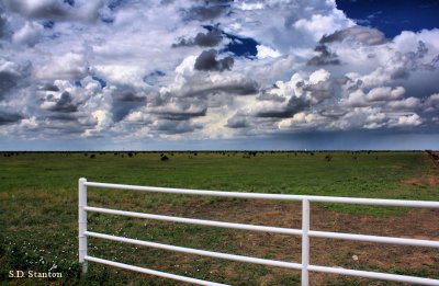 Ranch Land Near Vega, TX