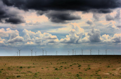 Wind Farm.jpg