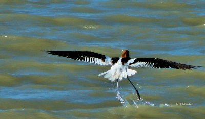 A soft landing can be achieved, I have faith. --Unknown