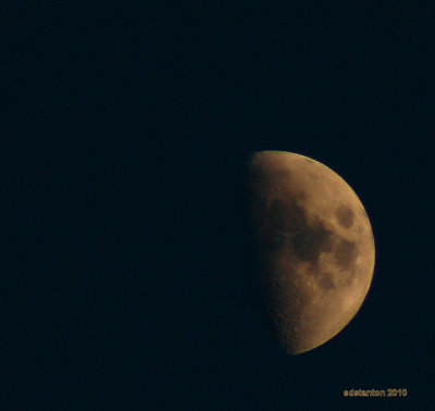 Moonglow.jpg