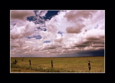 Farming and Ranching