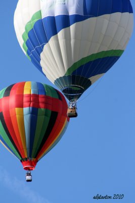 Dos Balloons.jpg