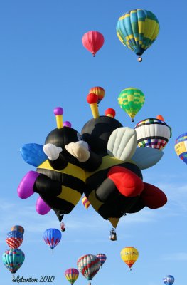 The Albuquerque International Balloon Fiesta 2010