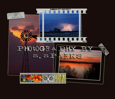 gallerygraphic.jpg