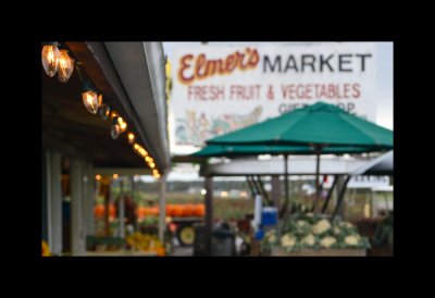 Elmers Market with lights.jpg