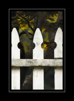 The Fence.jpg
