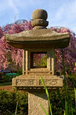 Japanese Gardens, Cowra