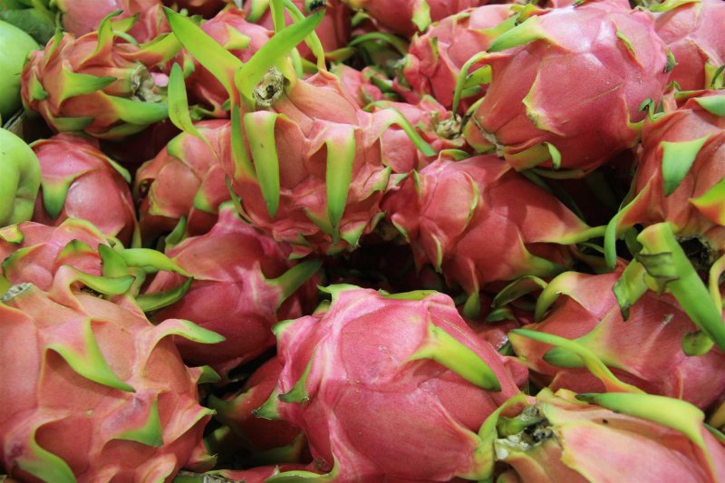 26 February Pitaya or Dragon fruit