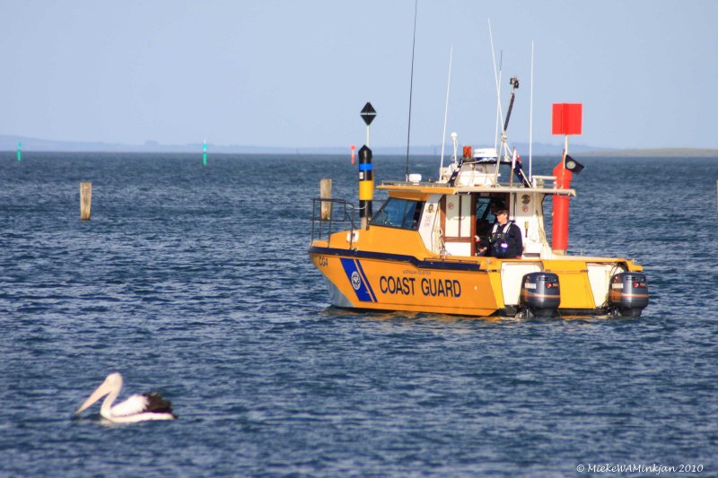 2 Pelican watch