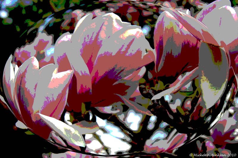 25 Spring