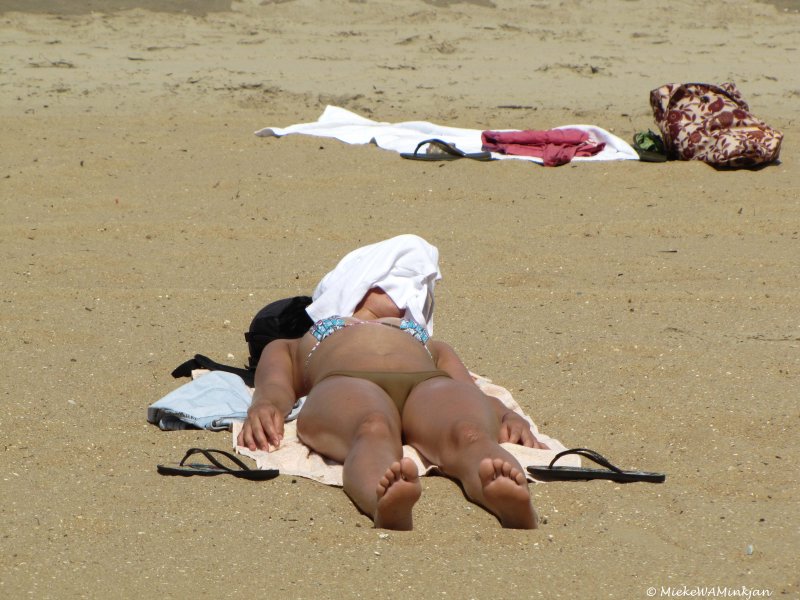 Beach Scene