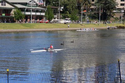 6 october It is busy on the Yarra river
