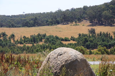 14 january National Park Lysterfield