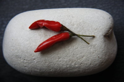 1 Chili pepper on white stone