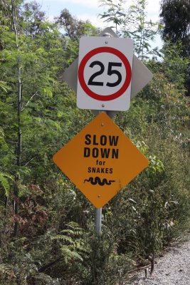 slow down for snakes