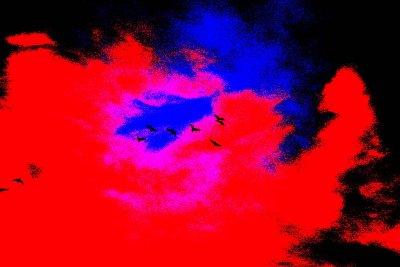 15 Sunrise with ibis