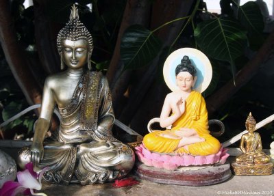 3 Buddha