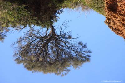 Upside down