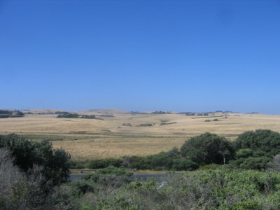 summer landscape of Gippsland