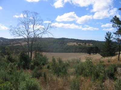 11 february Landscape near Red Hill