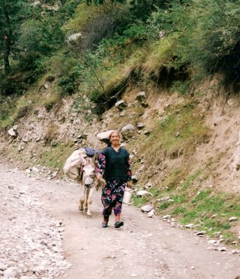 farmer women with donkey