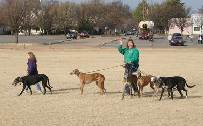 GRACIE--SHELLEY-W-GHS-1.jpg