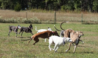 IMG_0177.jpg